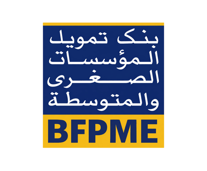 Journée d&rsquo;information organisée par la BFPME